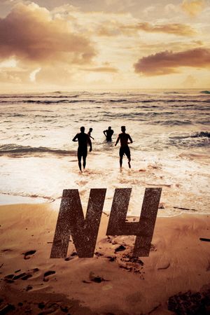 N4's poster