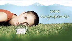 Insignificant Things's poster