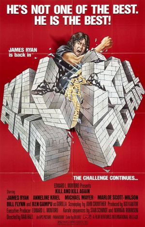 Kill and Kill Again's poster