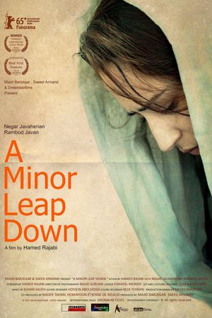 A Minor Leap Down's poster image
