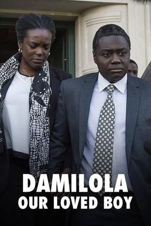Damilola, Our Loved Boy's poster