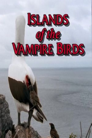 Islands of the Vampire Birds's poster
