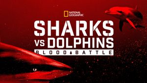 Sharks vs. Dolphins: Blood Battle's poster