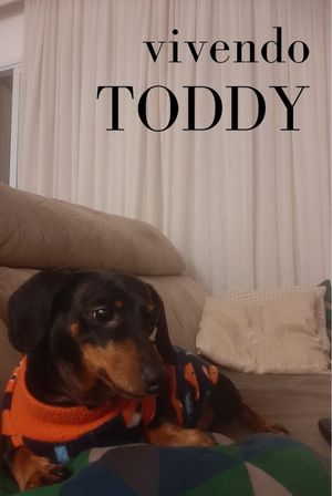 Vivendo Toddy's poster