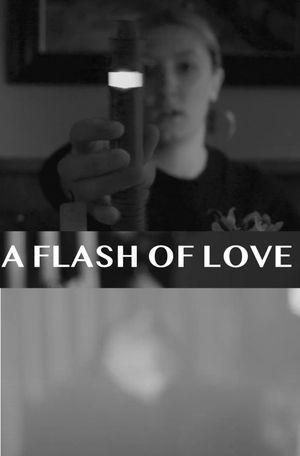 A Flash Of Love's poster
