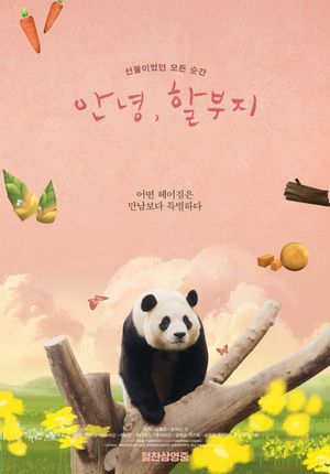 My Dearest Fu Bao's poster