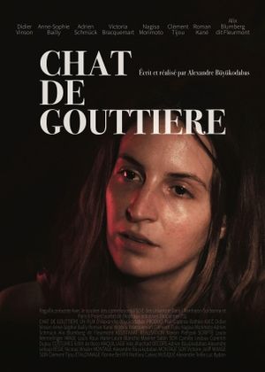 Chat de gouttière's poster