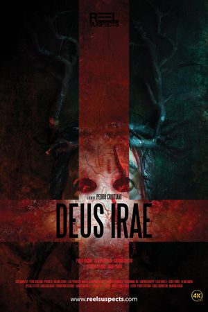 Deus Irae's poster