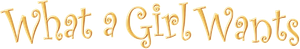 What a Girl Wants's poster