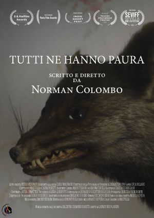 Tutti ne hanno paura's poster