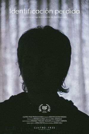 Lost ID's poster