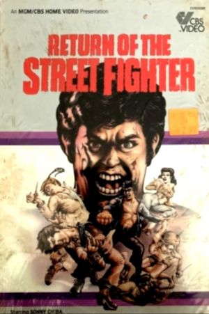 Return of the Street Fighter's poster
