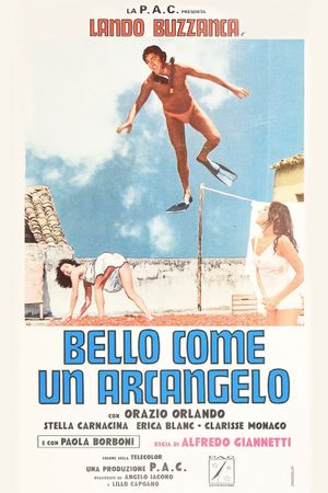 The Handsome Devil's poster
