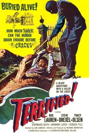 Terrified's poster image