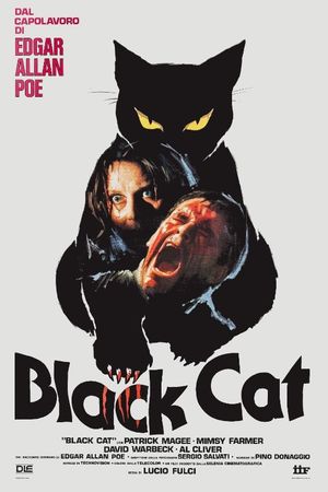 The Black Cat's poster