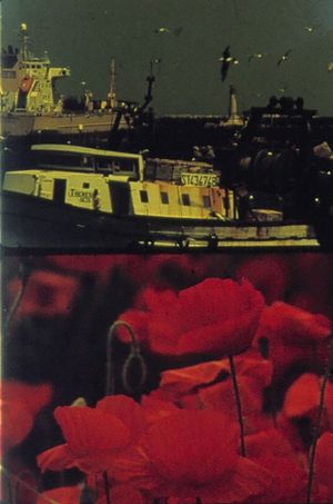 Poppies and Sailboats's poster