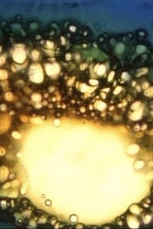 Aerodynamics of the Black Sun's poster