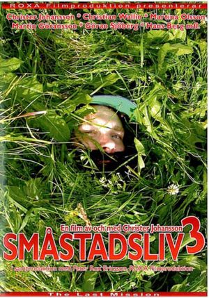 Småstadsliv 3's poster
