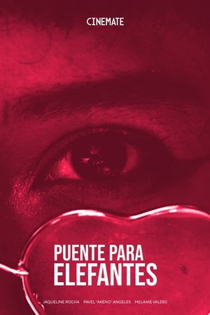 Puente Para Elefantes's poster