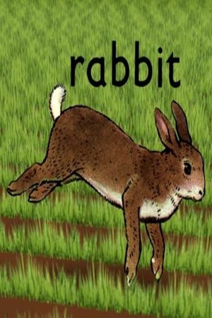 Rabbit's poster