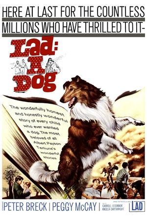 Lad: A Dog's poster