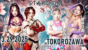 STARDOM in Tokorozawa • 3.29.2025's poster