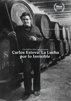 Carlos Esteva: the fight for the invisible's poster