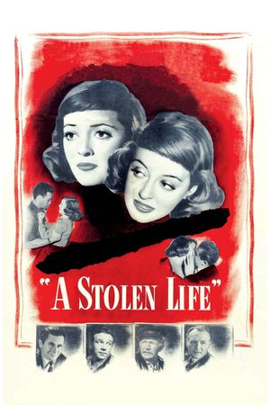 A Stolen Life's poster