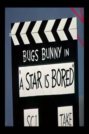 A Star Is Bored's poster
