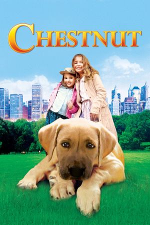 Chestnut: Hero of Central Park's poster