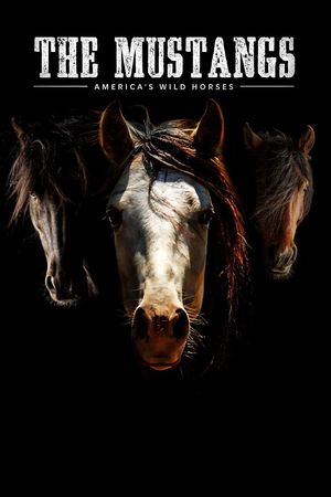 The Mustangs: America's Wild Horses's poster