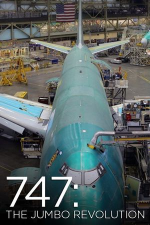 747: The Jumbo Revolution's poster