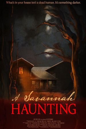 A Savannah Haunting's poster