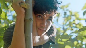 Under the Fig Trees's poster