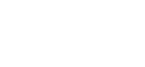 The Addams Family's poster