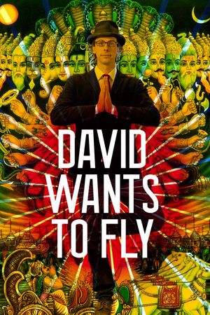 David Wants to Fly's poster