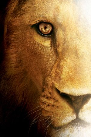 The Chronicles of Narnia: The Voyage of the Dawn Treader's poster