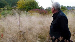 Five Seasons: The Gardens of Piet Oudolf's poster