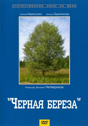 Чёрная берёза's poster