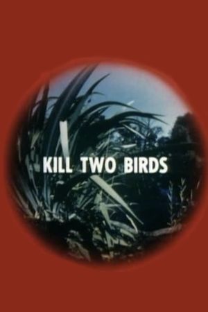 Kill Two Birds's poster