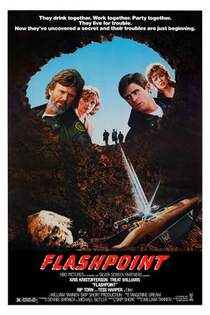 Flashpoint's poster