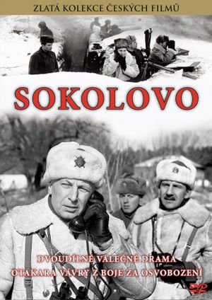 Sokolovo's poster