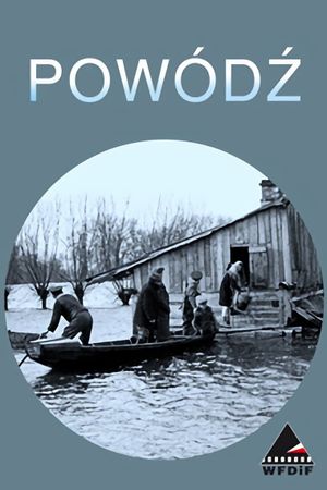 Storm in Poland's poster