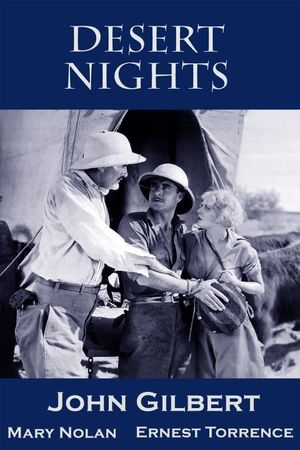 Desert Nights's poster