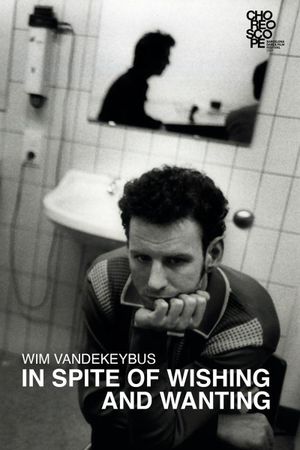 In Spite of Wishing and Wanting's poster