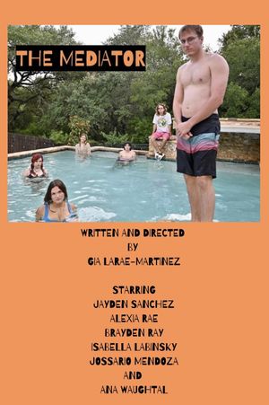 The Mediator's poster