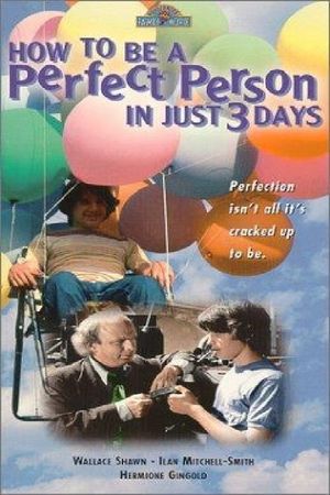 How to Be a Perfect Person in Just Three Days's poster