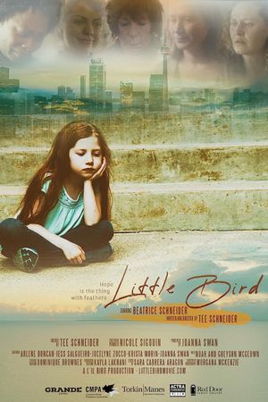 Little Bird's poster