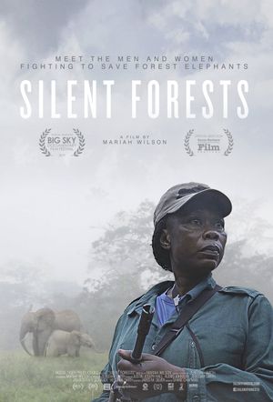 Silent Forests's poster