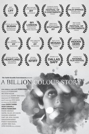 A Billion Colour Story's poster